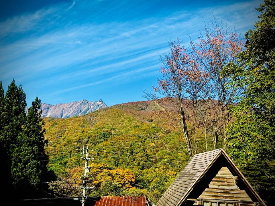 View (from property/room)