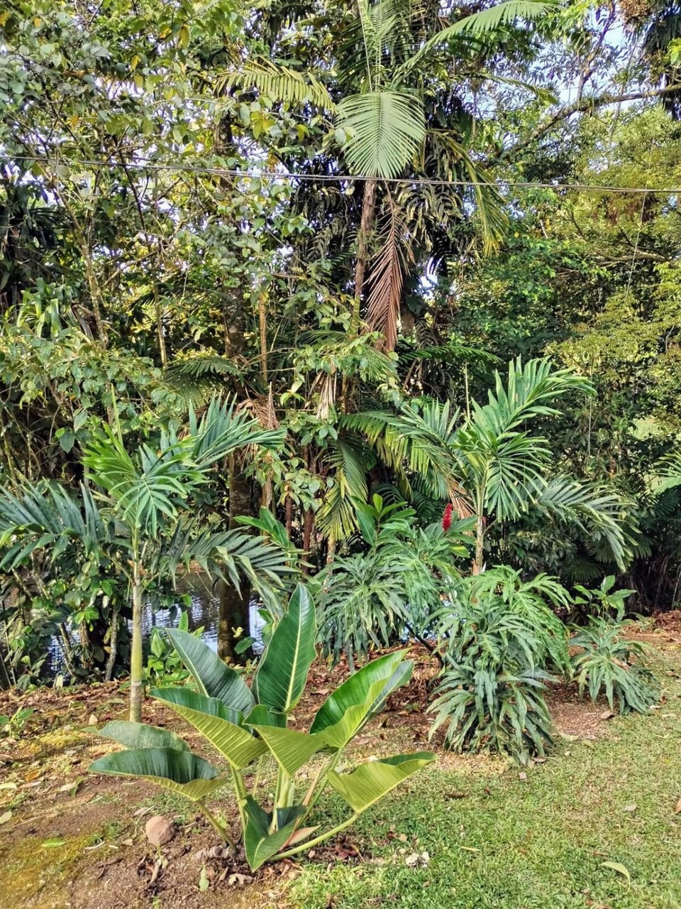 Cabana Castaña Apartment in Alajuela Province