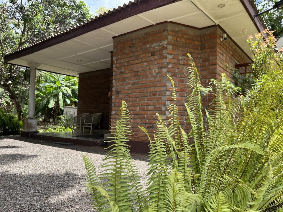 Property building, Garden view