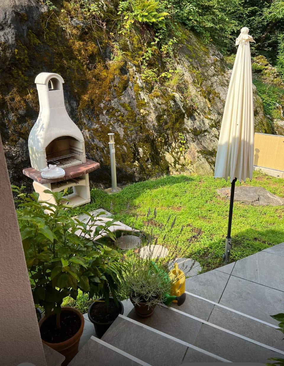 Garden view