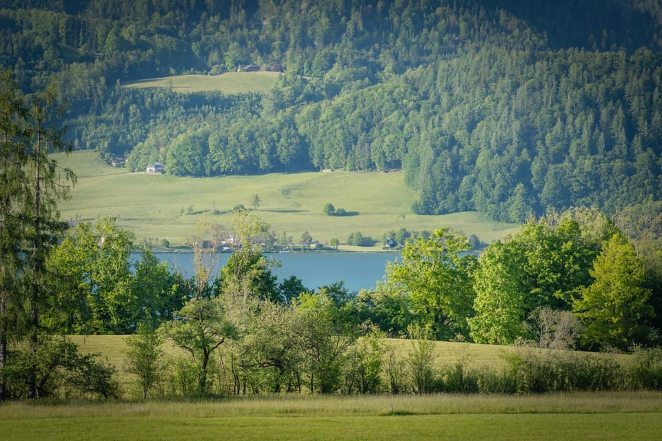 Lake view, Lake view