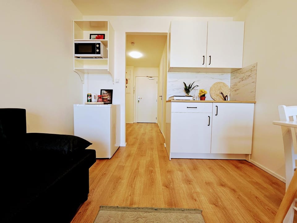 Kitchen or kitchenette, kitchen