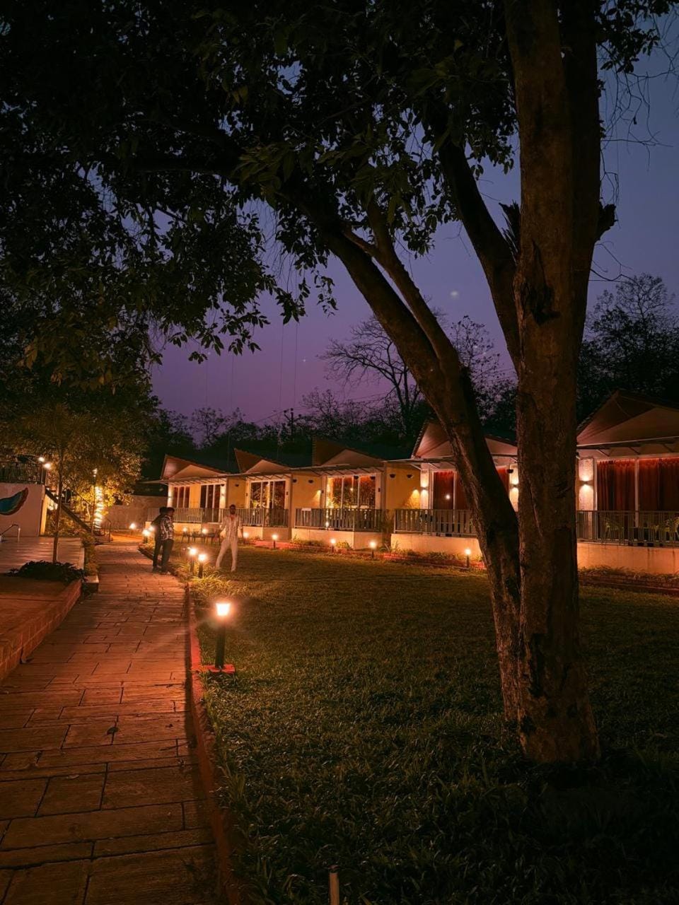 Property building, Night, Natural landscape, Garden