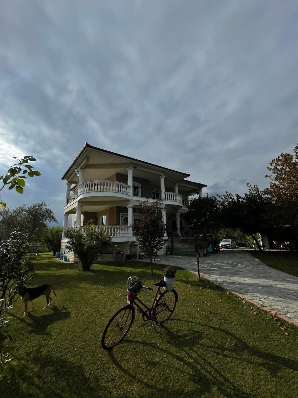 Property building, Garden view