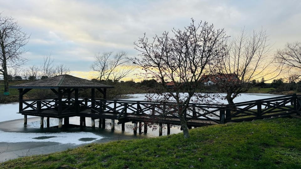 Lake view