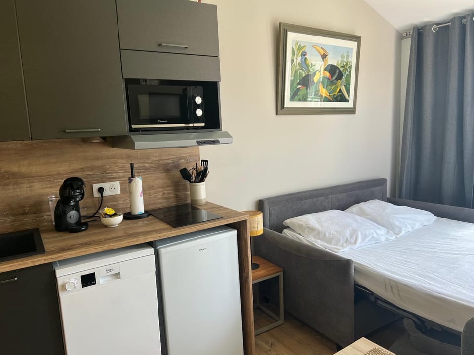 Coco studio 2 adultes et 2 enfants avec terrasse vue sur le Lac et accès parc aquatique gratuit Apartment in Talmont-Saint-Hilaire