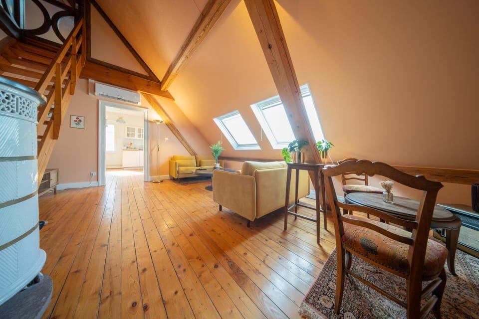 Great Accommodation Colmar Free Parking Apartment in Colmar