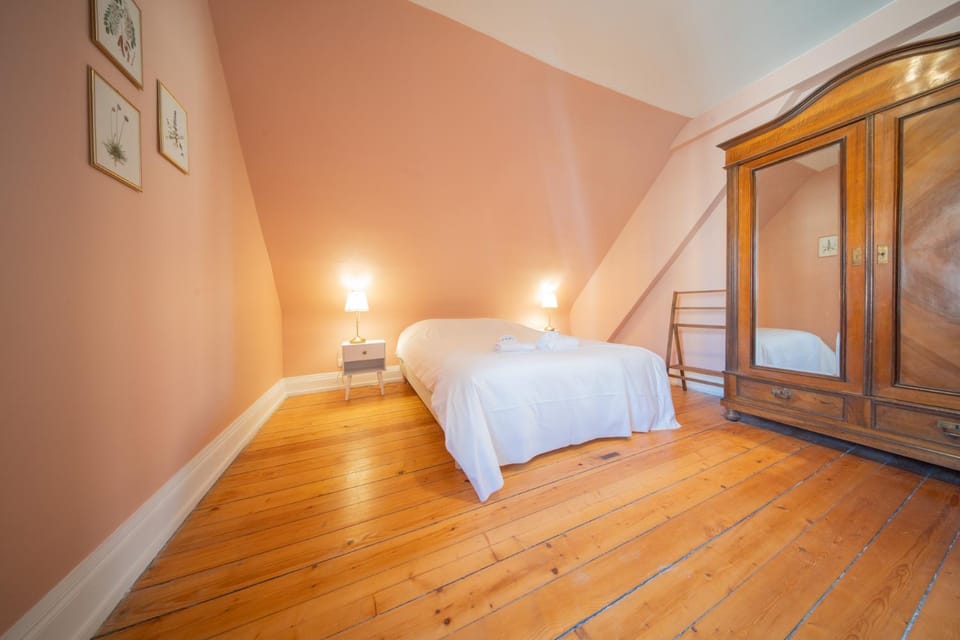 Great Accommodation Colmar Free Parking Apartment in Colmar