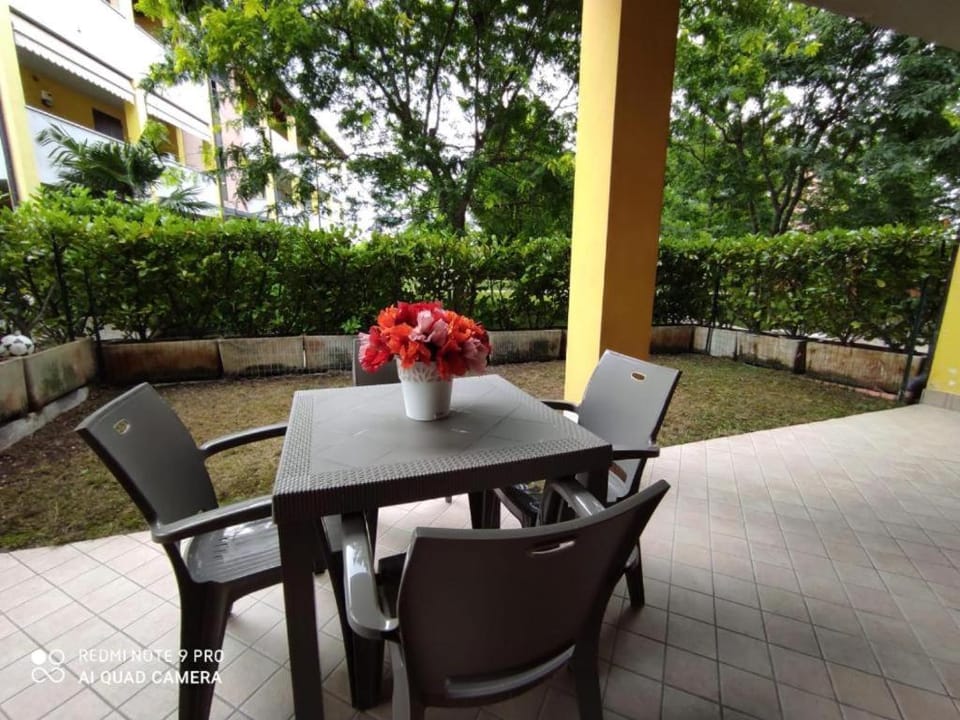 Patio, Garden, Dining area