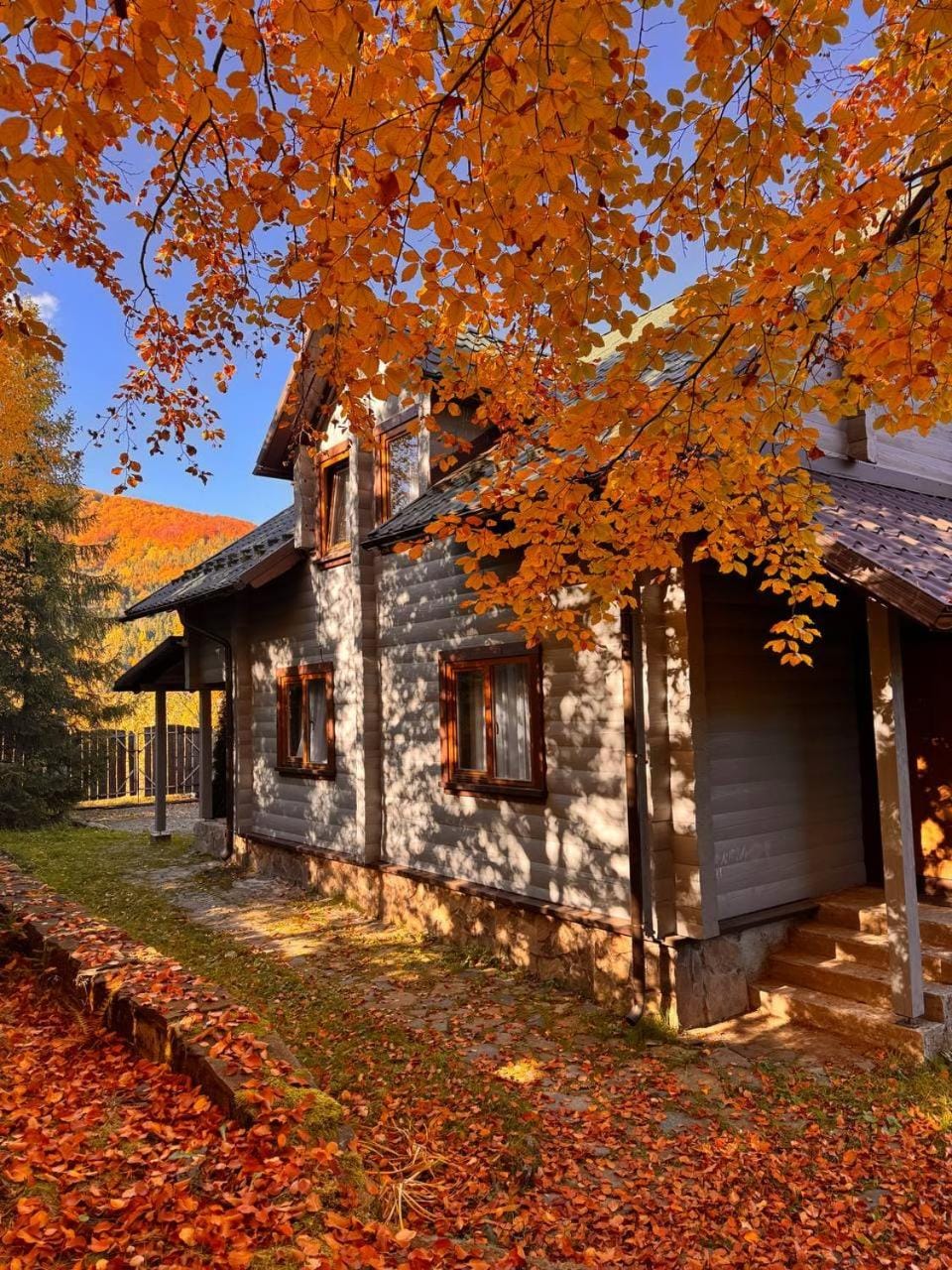 Property building, Autumn