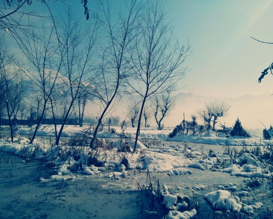 Winter