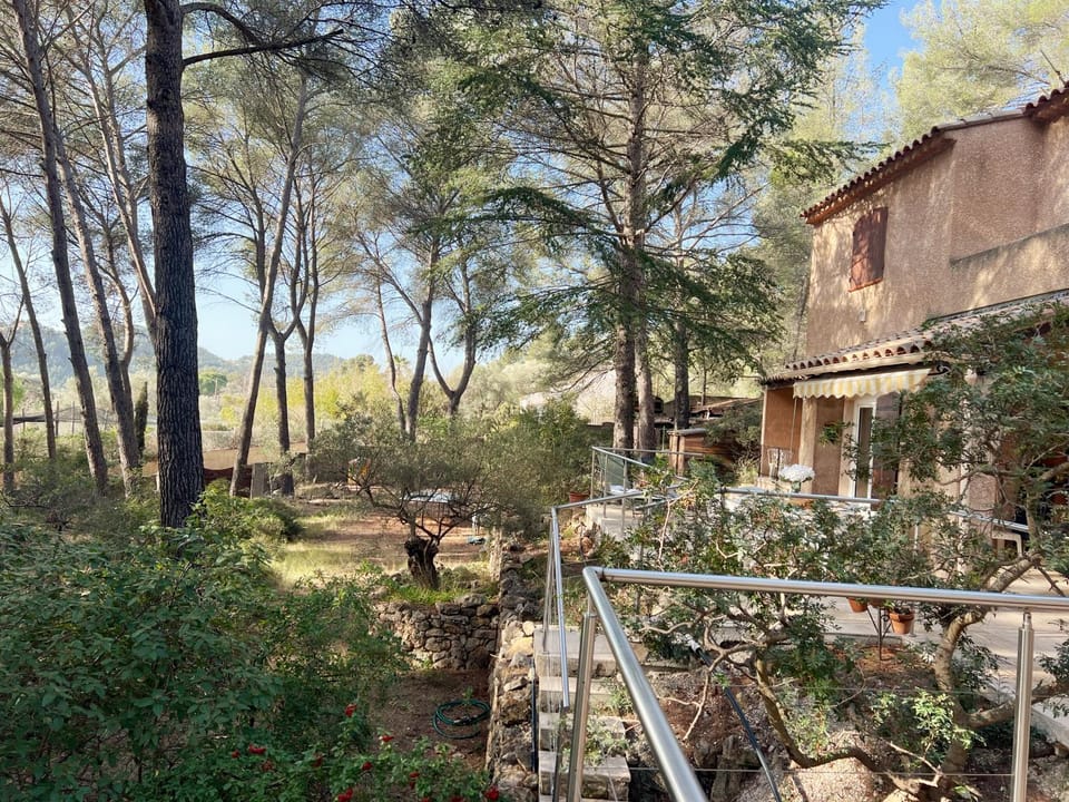 Property building, Garden, Garden view