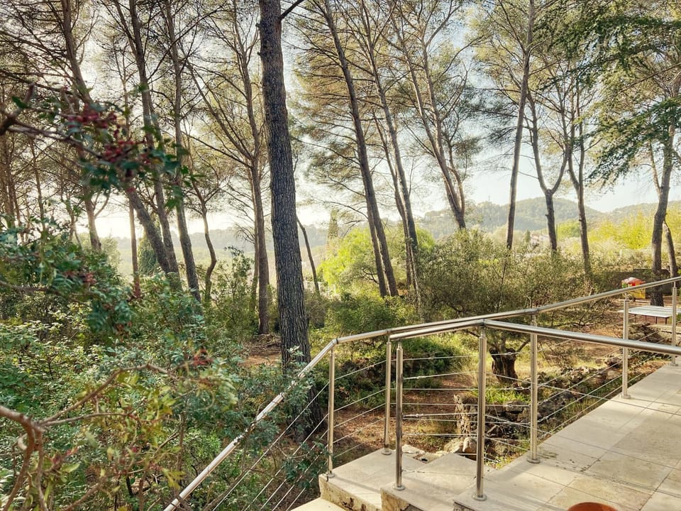 Natural landscape, Garden, Garden view