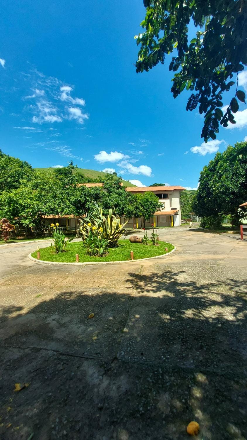 Natural landscape, Garden, Garden view