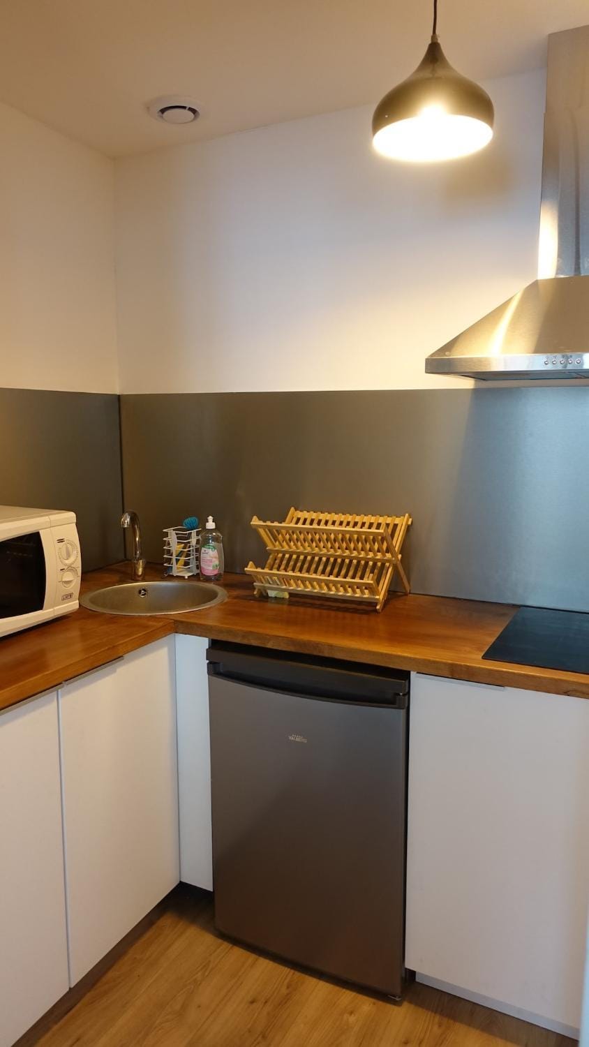 Central, charming and peaceful Apartment in Toulouse