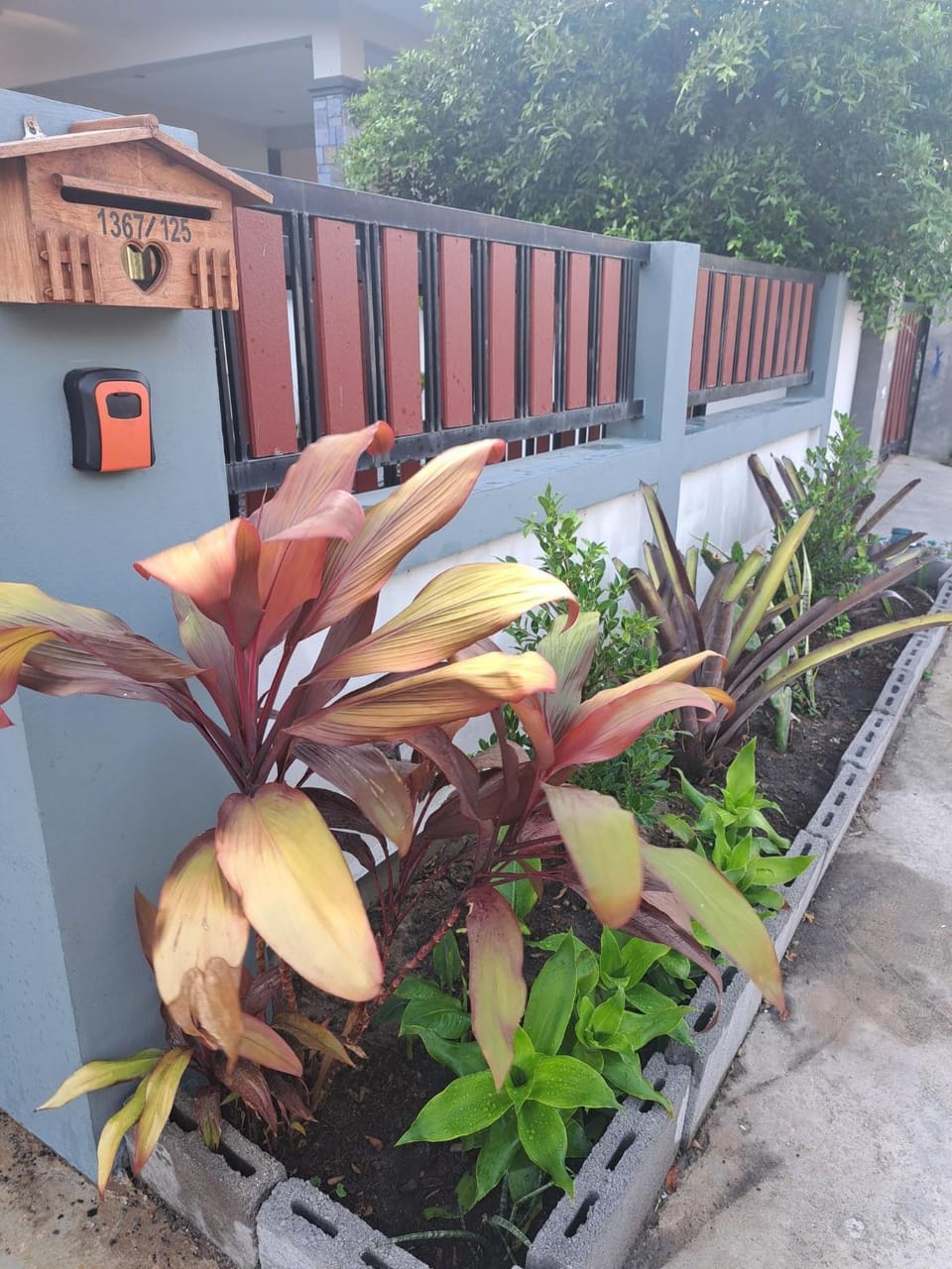 Garden view