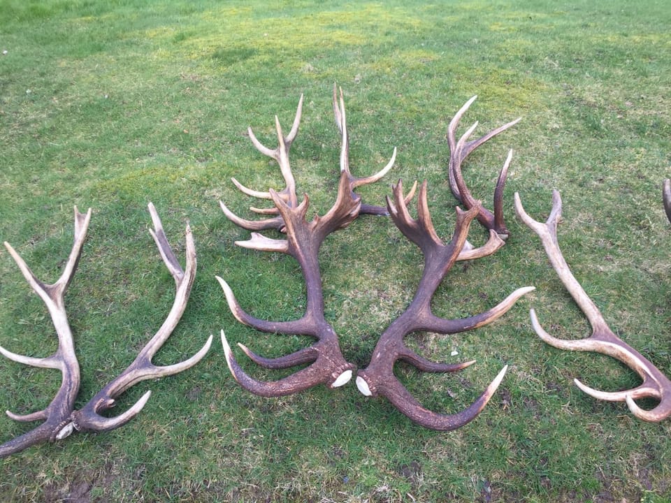 Alt det bedste mellem hav og fjord - en hel bolig Bed and Breakfast in Brovst