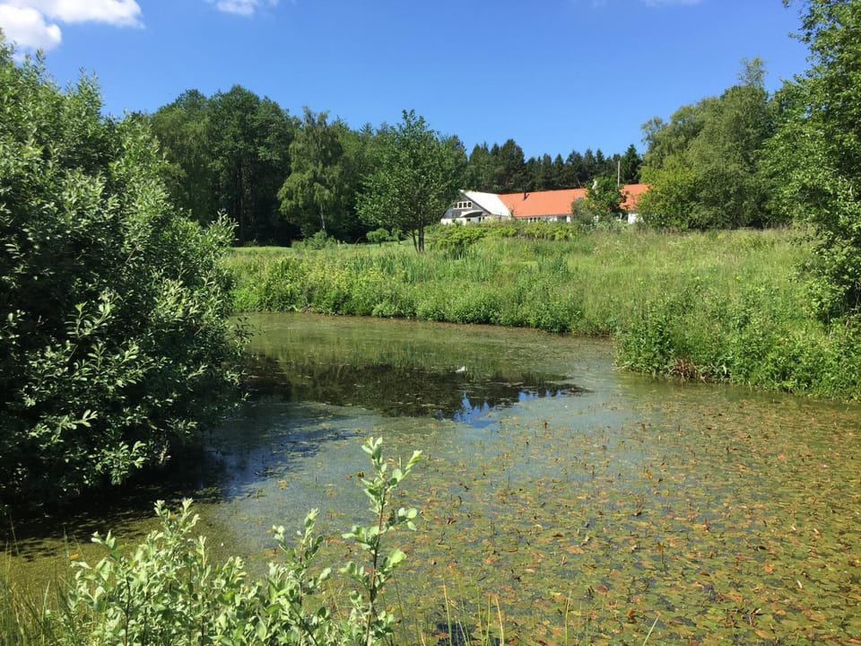 Alt det bedste mellem hav og fjord - en hel bolig Bed and Breakfast in Brovst