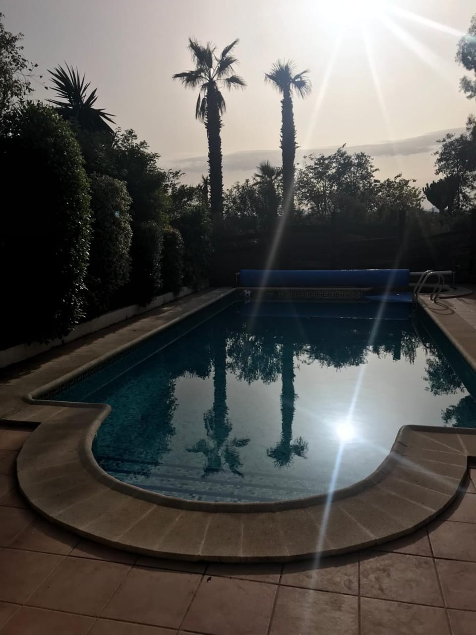 Swimming pool, Swimming pool