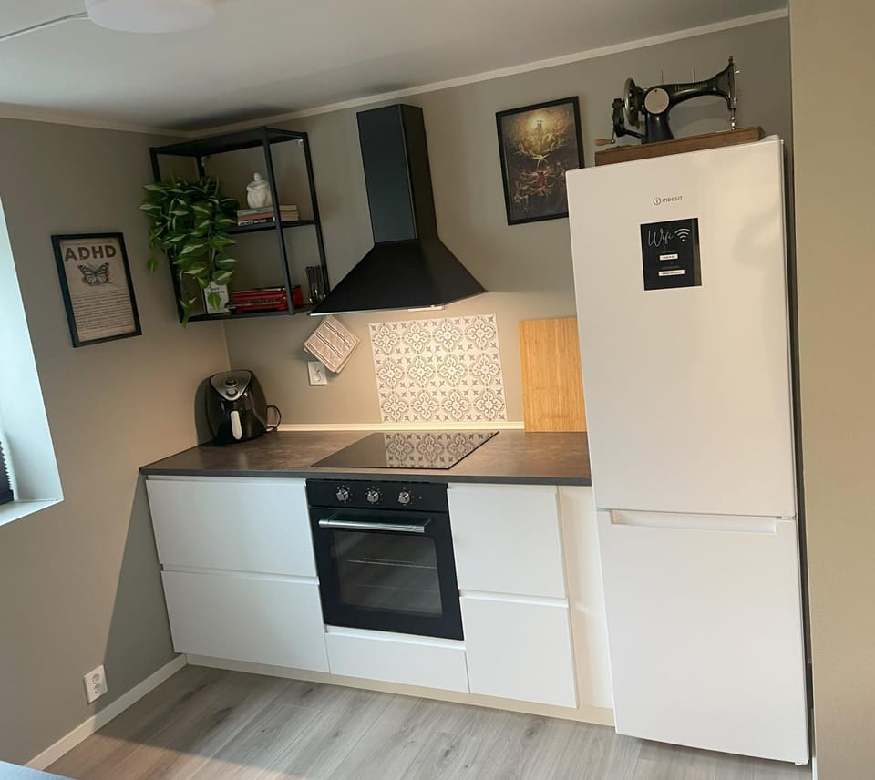 Kitchen or kitchenette, oven, stove