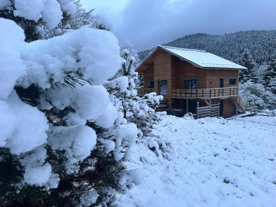 Ancienne école avec Jacuzzi privé Apartment in Gérardmer