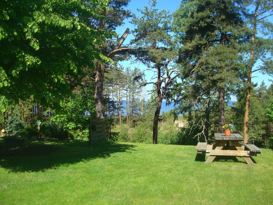 Garden, Sea view