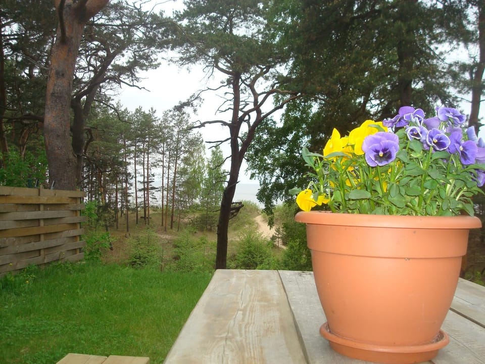 Sea view
