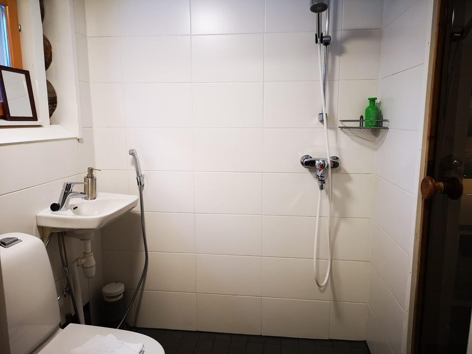 Shower, Toilet