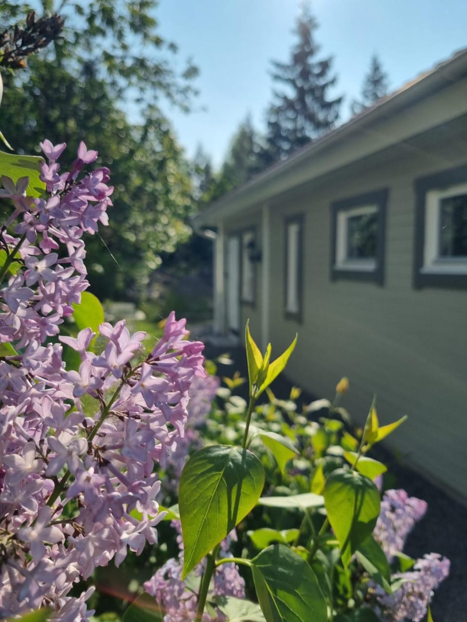 Property building, Garden