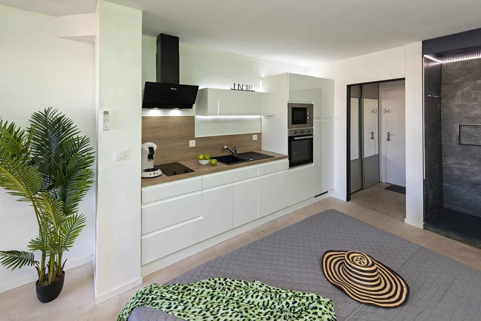 STUDIO JUNGLE - Héliopolis D 41 - Luxe -By AGN - 2 personnes Apartment in Agde