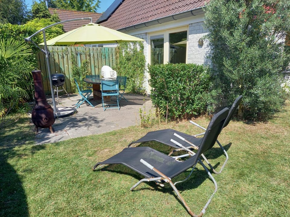 Spring, Garden, Garden view