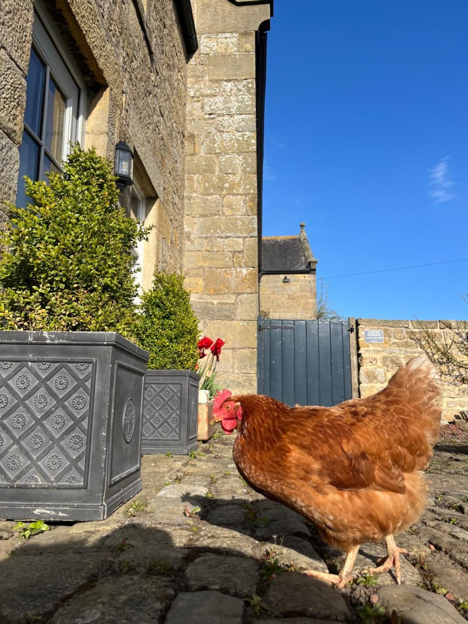 Halton Red House Farm Bed and Breakfast in Corbridge