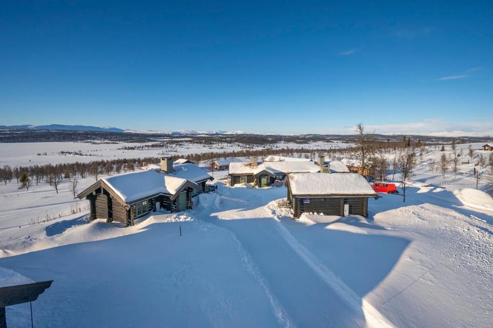 Winter, Mountain view