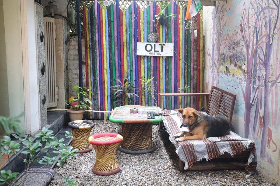 OLT Hostel Rishikesh Hostel in Rishikesh