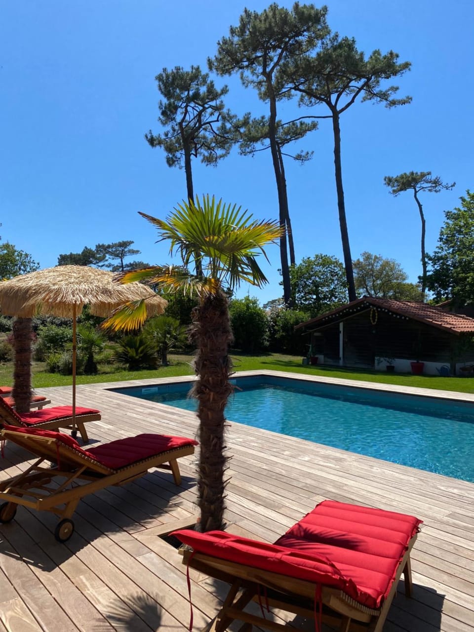 Garden, Garden view, Pool view, Swimming pool, sunbed
