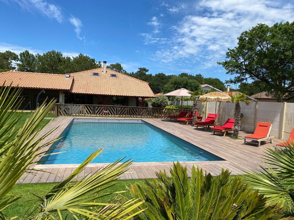 Patio, Garden, Garden view, Pool view, Swimming pool, sunbed