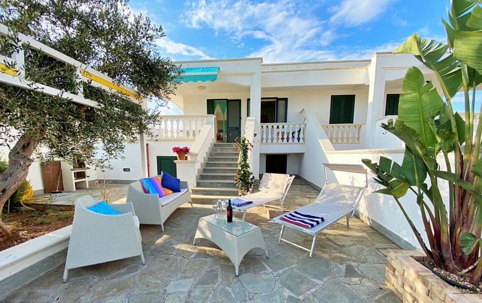 Garden, Garden view, Inner courtyard view, sunbed