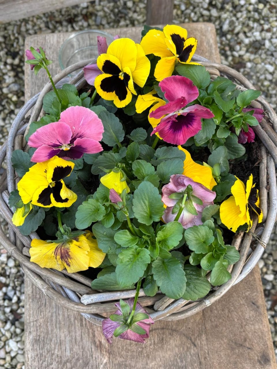 BelleVie Apartment, Eijsden-Maastricht Apartment in Limburg (province)