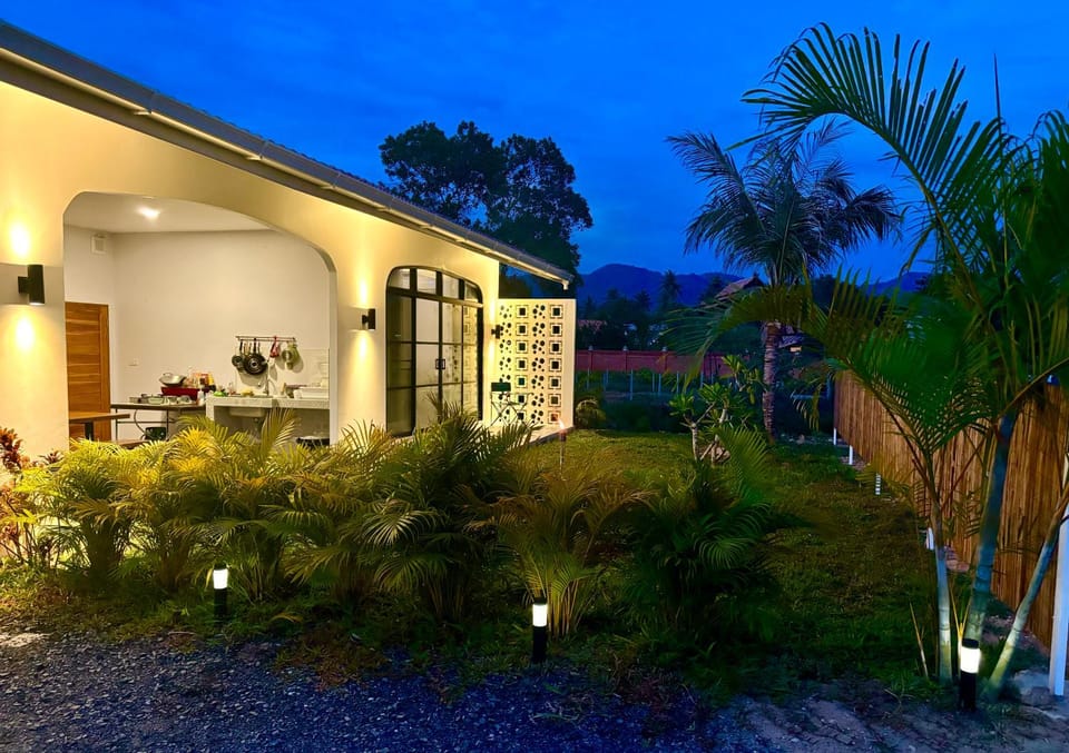 Property building, Night, Garden, Garden view
