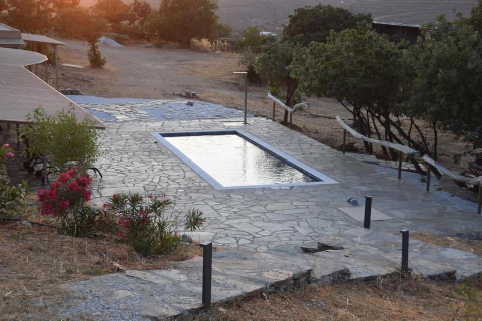 Spring, Natural landscape, Garden, Garden view, Pool view, Swimming pool