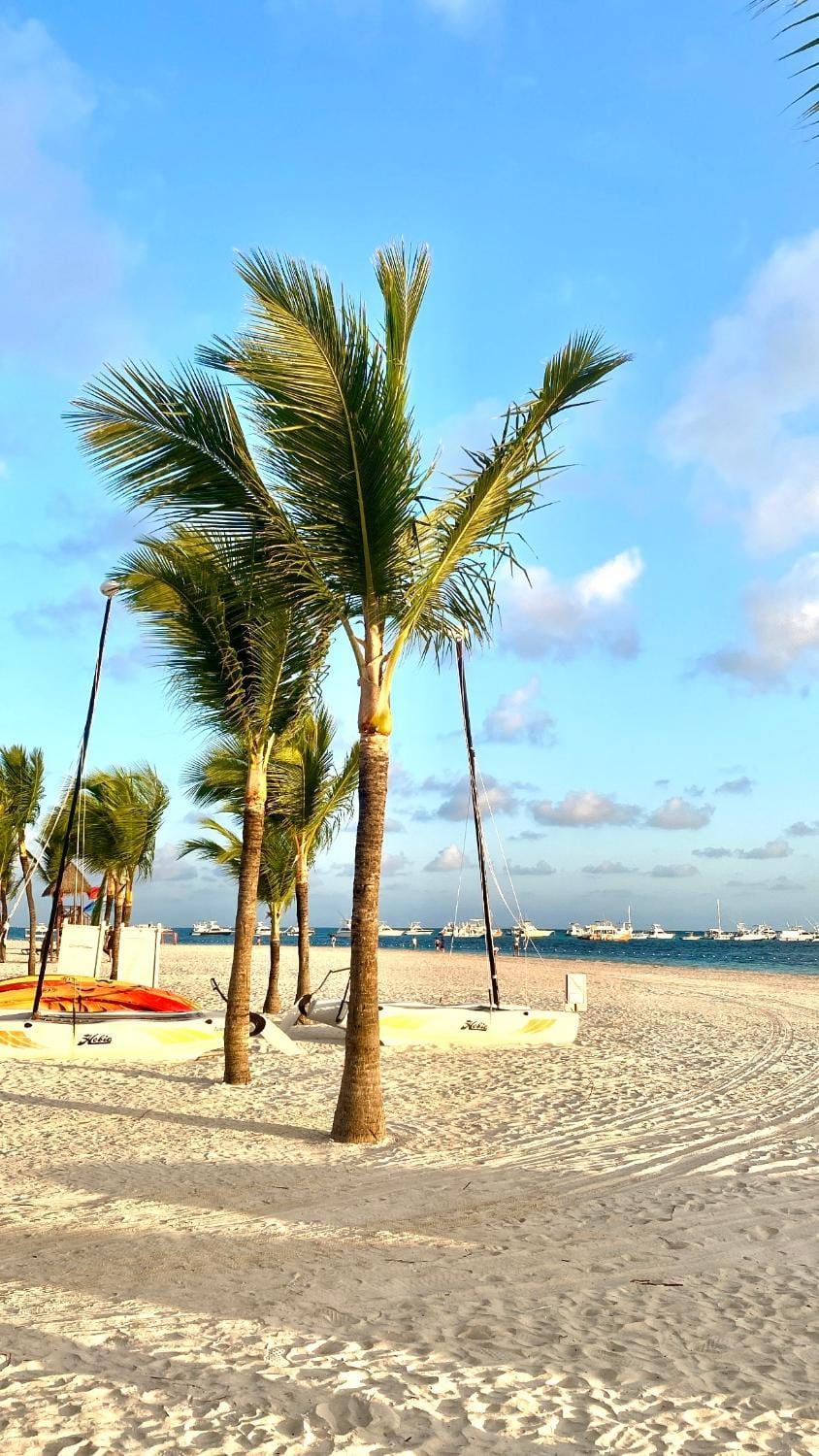 Nearby landmark, Day, Natural landscape, Beach, Sea view