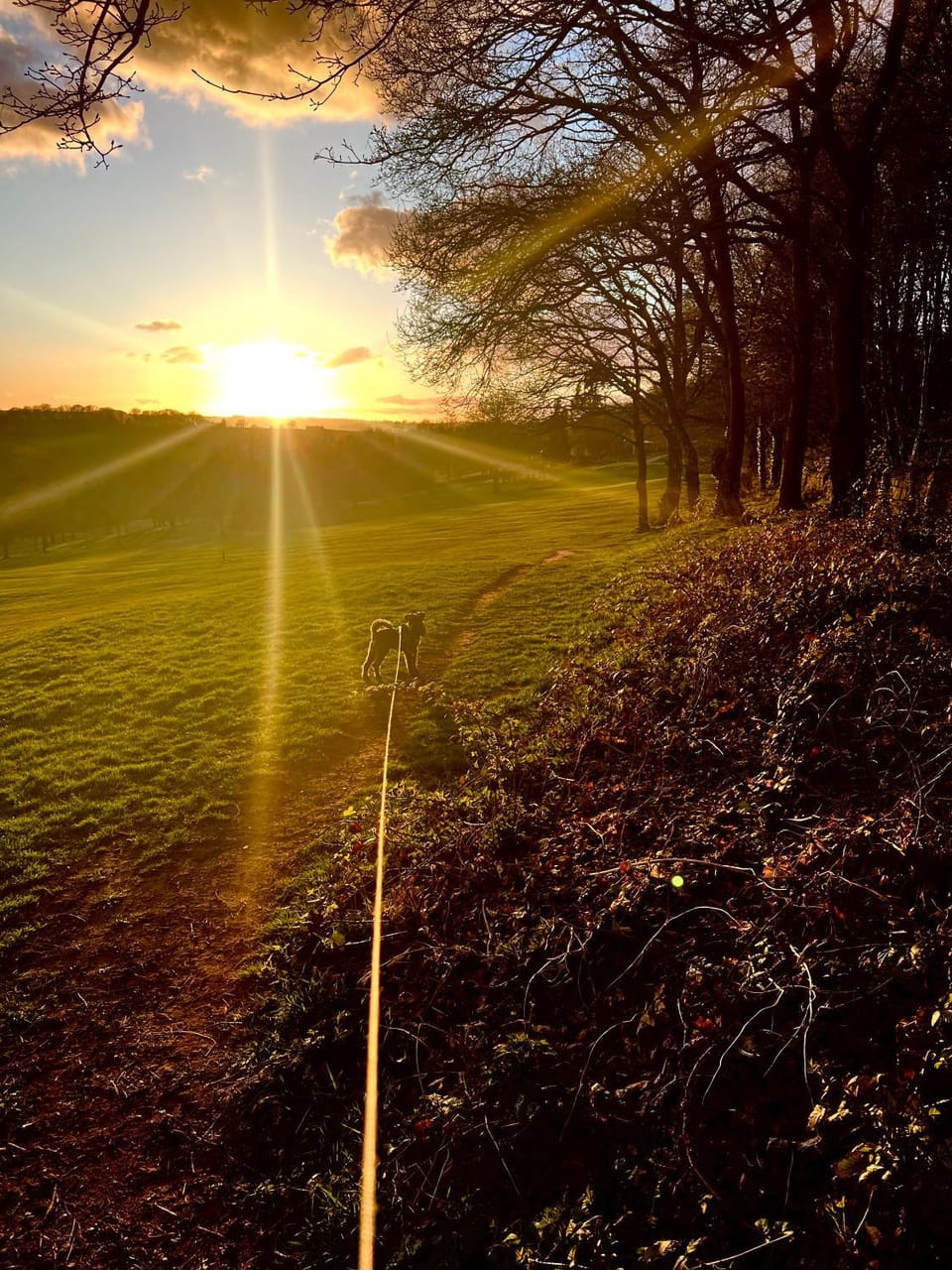 View (from property/room)