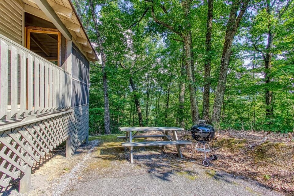 Serene Chalet w Hot Tub, Games, Wi-Fi, Pets OK House in Sevier County