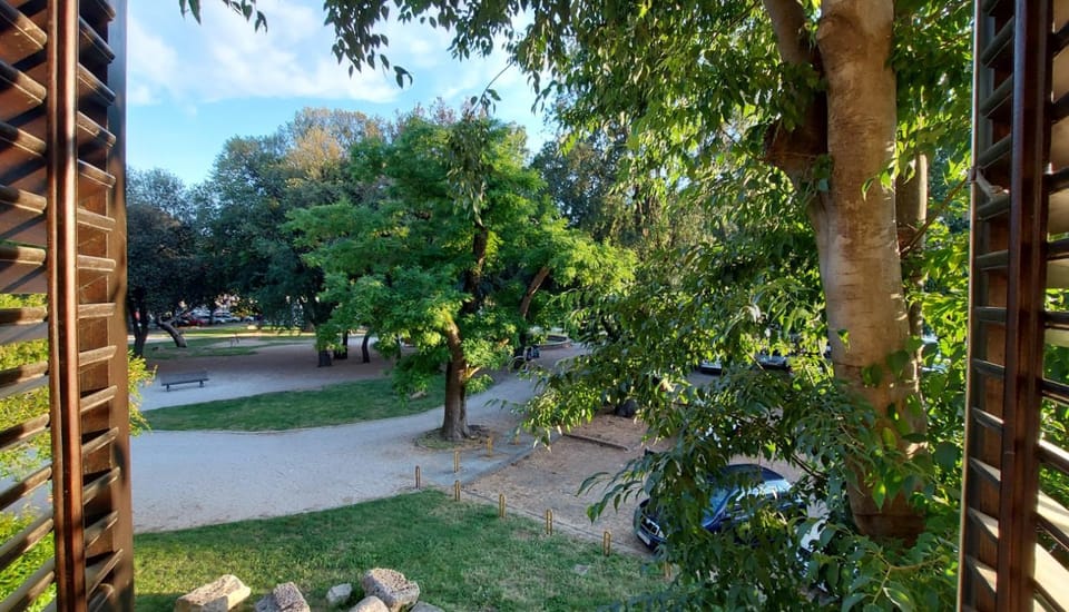 Neighbourhood, Garden view