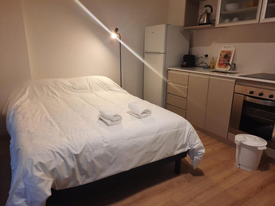 Bed, Kitchen or kitchenette, Photo of the whole room, Bedroom, towels