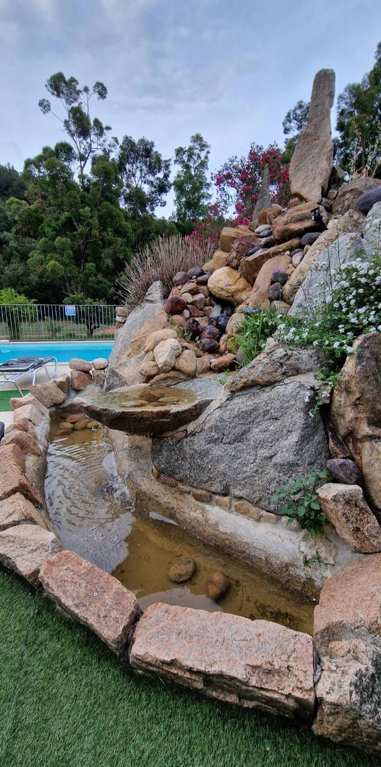 Garden, Swimming pool