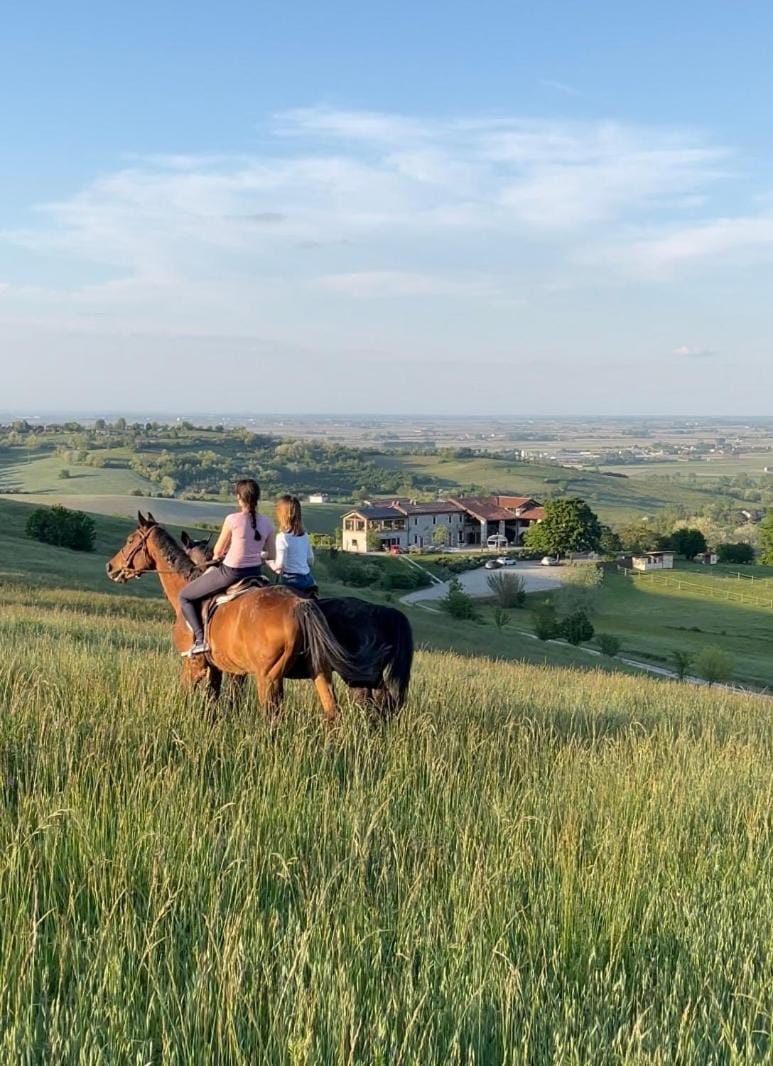 B&B Tenuta il Galletto Bed and Breakfast in Piedmont