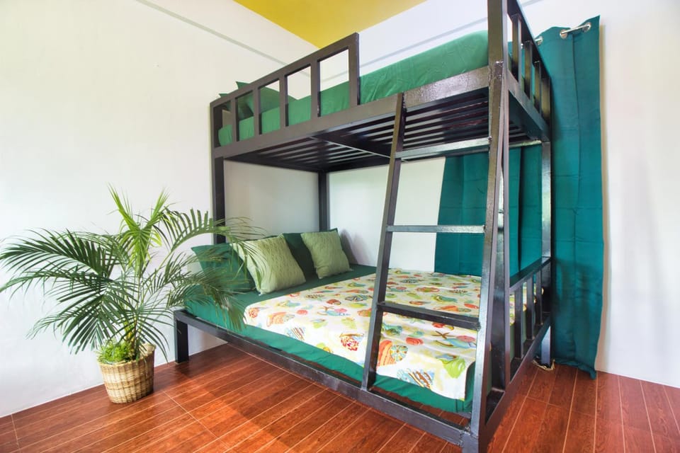 Bed, Photo of the whole room, Bedroom, bunk bed