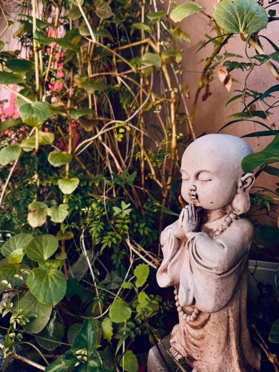 Natural landscape, Garden, Decorative detail, Garden view