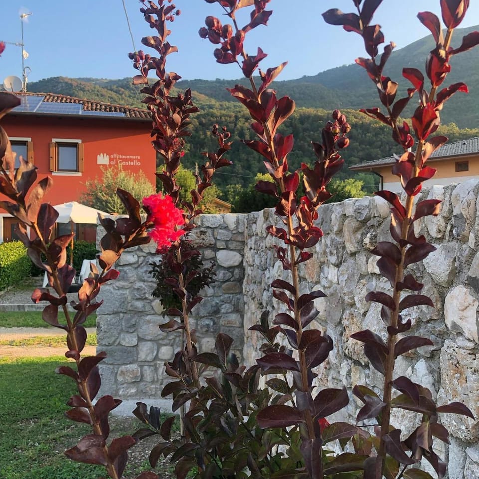 Property building, Garden, Garden view, Mountain view